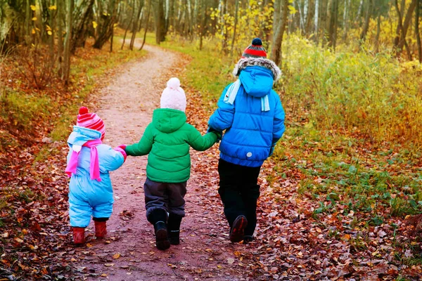 Niños - niño y niñas pequeñas- caminan en el bosque de otoño — Foto de Stock