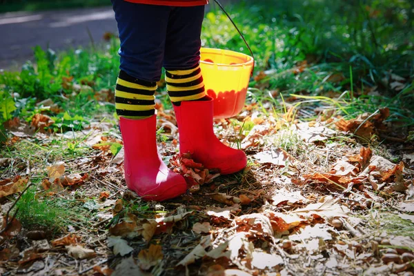 Маленькая девочка играть с желуди в природе, подготовиться к Хэллоуину — стоковое фото