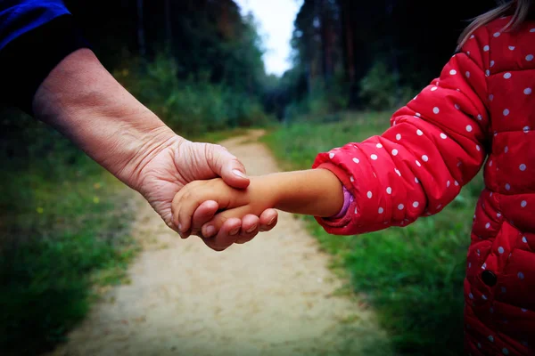 Grandmother holding grandchild hand in nature — Stock Photo, Image