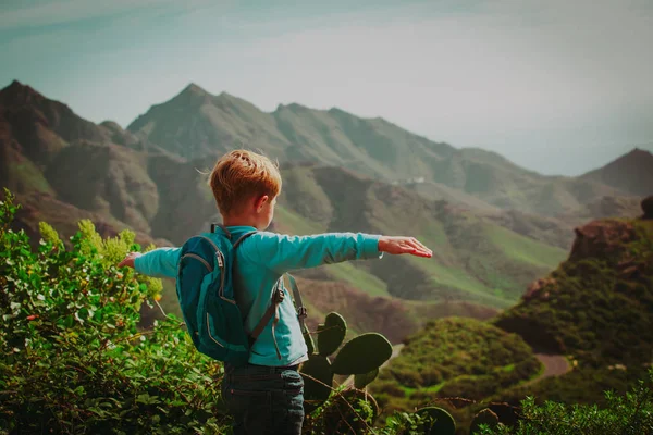 幸せな男の子ハイキング山の旅 — ストック写真