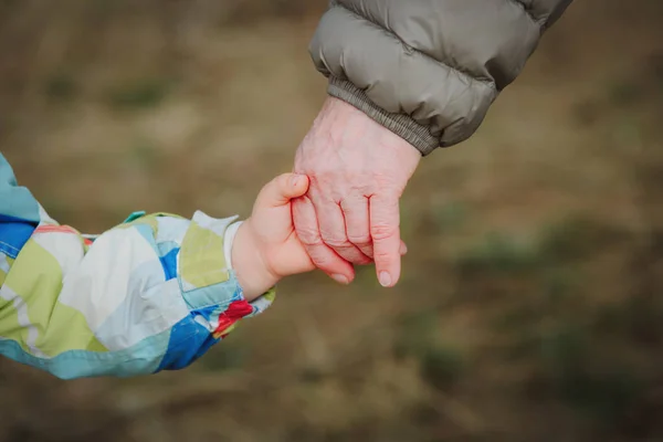 Grandmother holding grandchild hand in nature, parenting — Stock Photo, Image