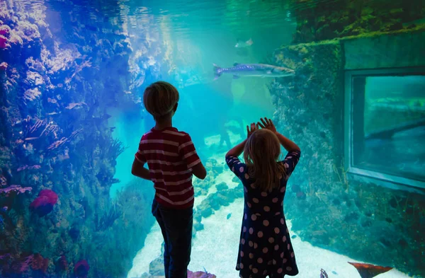 Детские и девичьи рыбки в аквариуме — стоковое фото
