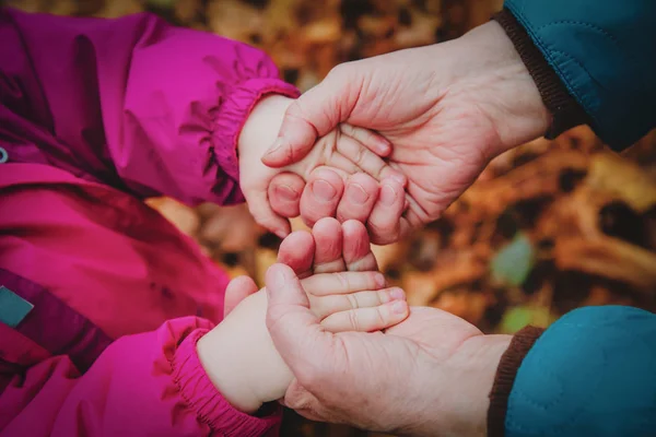 Grandmother Holding Grandchild Hand Fall Nature Grandparenting Family Care — Stock Photo, Image