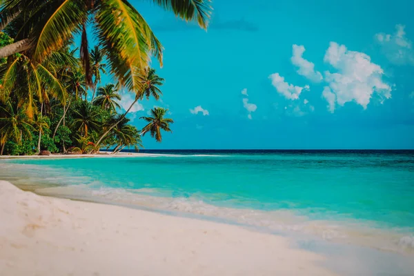 Plage de sable tropical avec palmiers, concept vacances — Photo