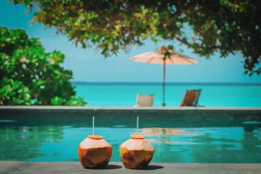 tropikal beach resort iki Hindistan cevizi içkiler