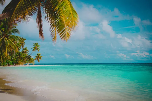 Plage de sable tropical avec palmiers, vacances — Photo