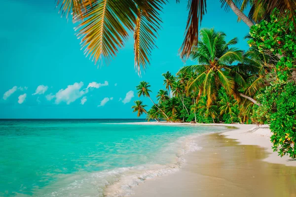 Plage de sable tropical avec palmiers, vacances — Photo