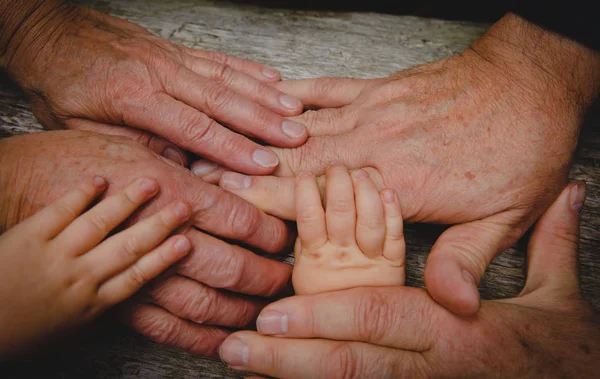 조부모와 아이 손, 가족의 개념 — 스톡 사진
