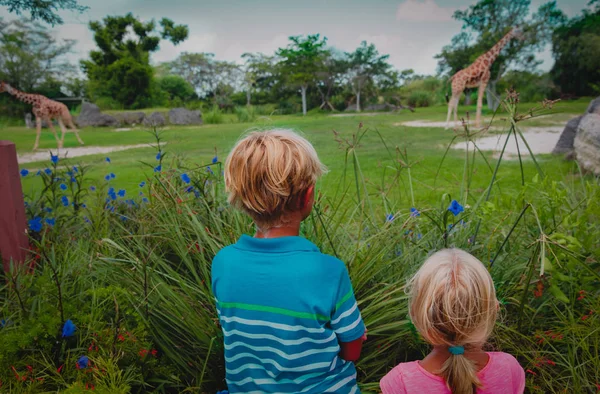 Діти хлопчик і дівчинка дивиться на жирафів в зоопарку — стокове фото
