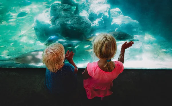 Маленькі дівчата спостерігають за рибами в акваріумі, діти вивчають водних тварин — стокове фото