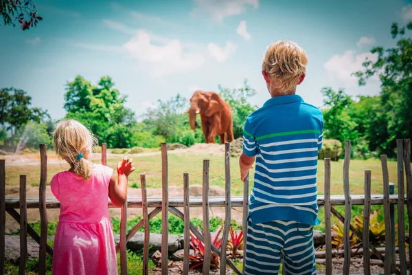 Діти хлопчик і дівчинка дивиться на слонів в зоопарку — стокове фото