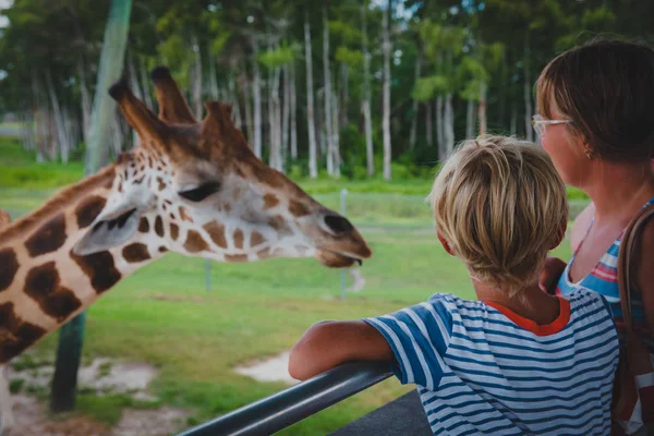 Mãe e filho olhando para girafa no zoológico — Fotografia de Stock