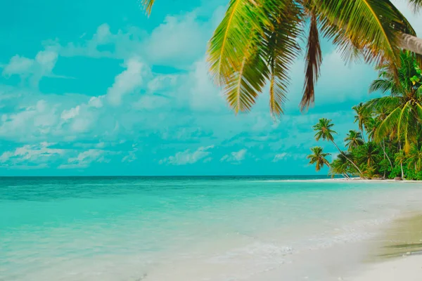 Plage de sable tropical avec palmiers, concept vacances — Photo