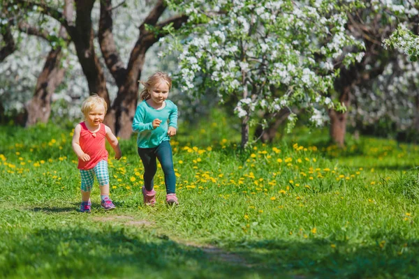 Niñas felices juegan correr en la naturaleza de primavera, flor de manzana, actividades de temporada — Foto de Stock