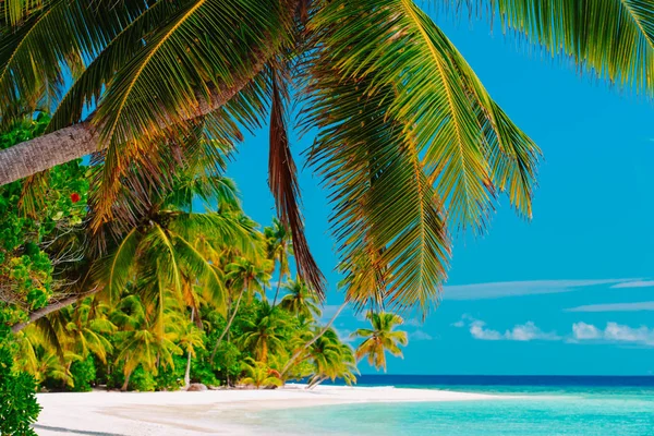 Plage de sable tropical avec palmiers, vacances en mer — Photo