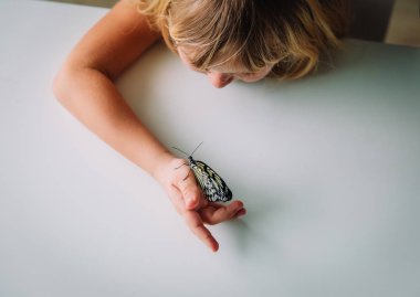 Küçük kız butterfy bakıyor, çocuk böcekleri keşfetmek