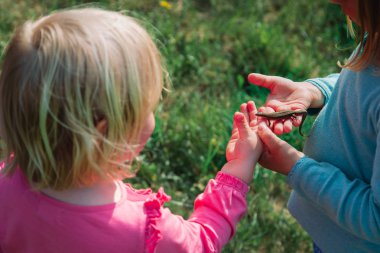 çocuklar öğrenme - çocuklar tutma ve kertenkele keşfetmek