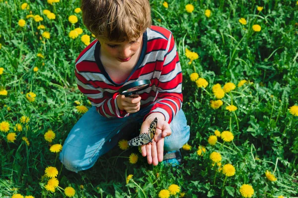 Jongen kijkt naar butterfy, kinderen leren de natuur — Stockfoto