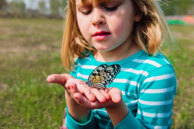 Şirin kız kelebeğe bakıyor, çocuklar doğayı öğreniyor.