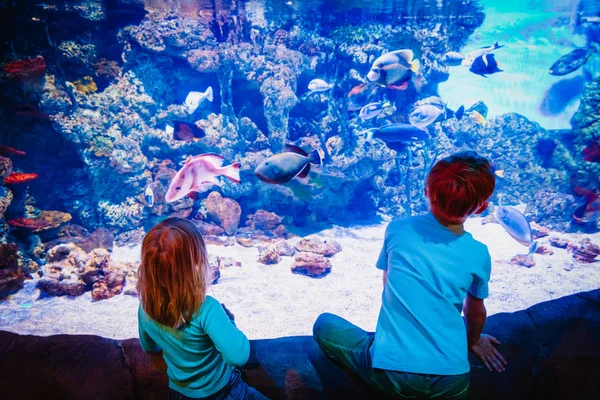 Miúdos e raparigas a ver peixes no aquário. — Fotografia de Stock