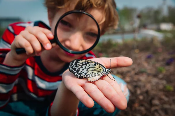 Chico mirando a butterfy, niños aprendiendo naturaleza — Foto de Stock