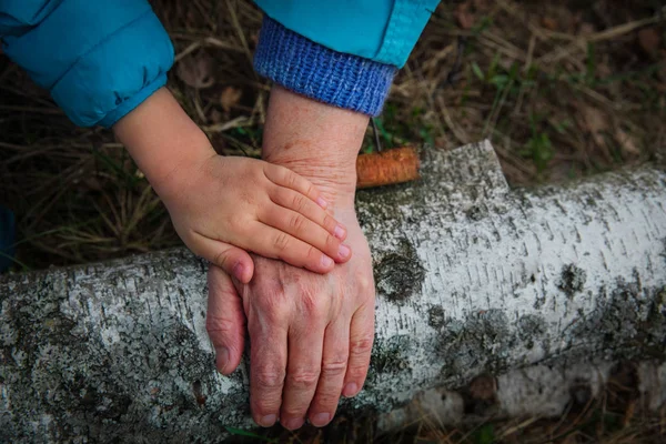 Avó e neto mão na natureza, conceito parentalidade — Fotografia de Stock