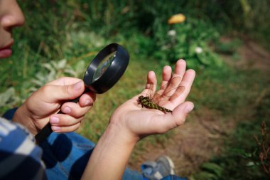çocuklar öğrenme - büyüteç ile küçük çocuk keşfetmek yusufçuk
