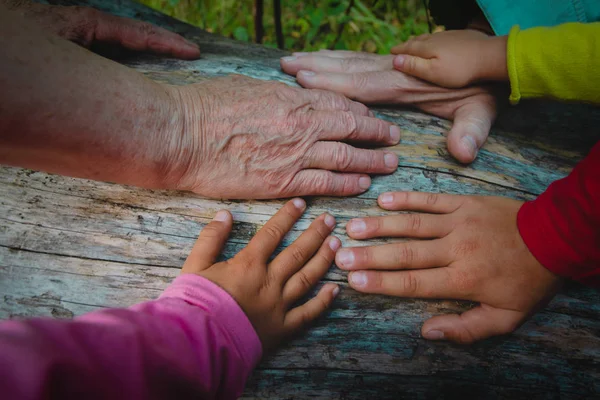 Grandparents and kids hands, concept of family — Stock Photo, Image