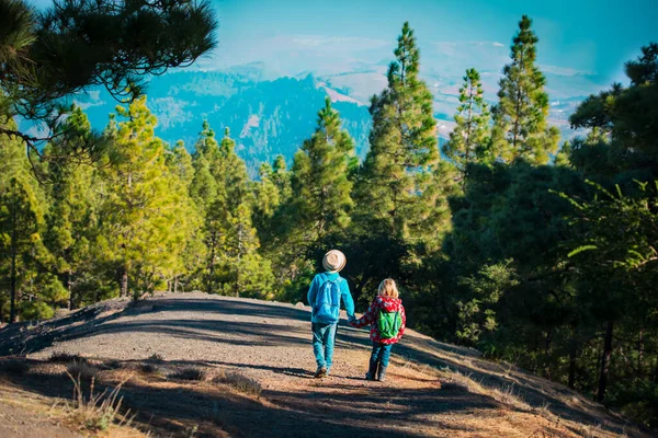 Barn -pojke och flicka -resa i naturen, familj vandring — Stockfoto