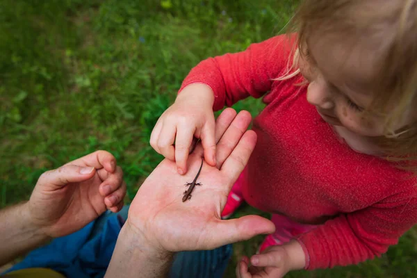 Menina olhando e explorando lagarto na natureza — Fotografia de Stock