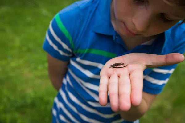Хлопчик тримає і досліджує ящірку в природі — стокове фото