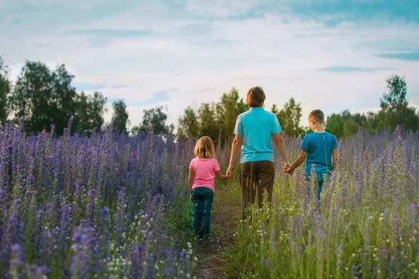 Padre con niños caminar en el campo de flores en el día soleado — Foto de Stock