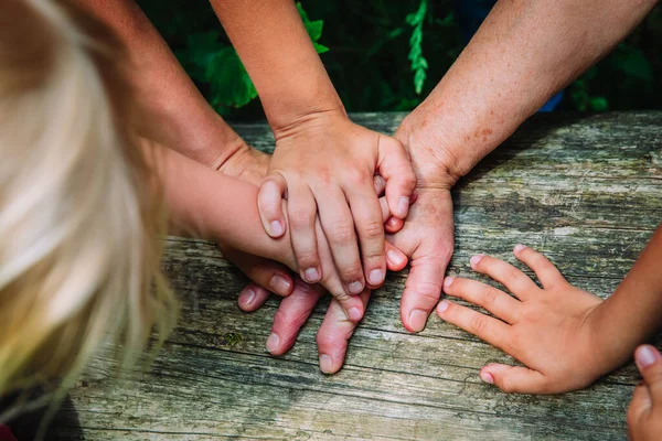 Aile elleri doğada, torunları olan büyükanne el ele tutuşuyor.
