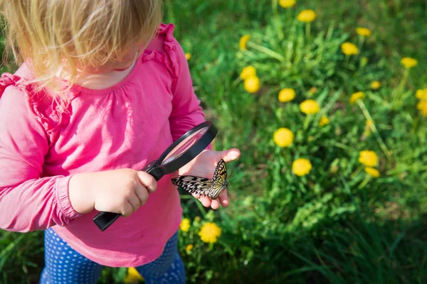 Menina olhando para butterfy, crianças aprendendo natureza — Fotografia de Stock