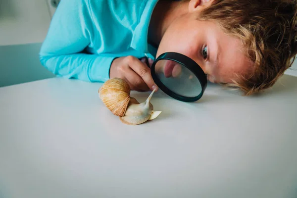 Pojke tittar på jättesnigel genom förstoringsglas — Stockfoto