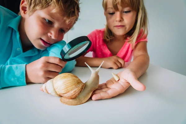 Menino e menina olhando para caracol gigante através de lupa — Fotografia de Stock