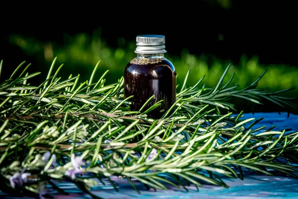 Rosemary Essential Oil Small Pot Flowering Rosemary Branches Outdoors — Stock Photo, Image