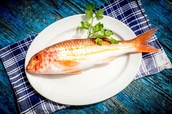 Salmonete Rojo Mullus Surmuletus Salmonete Roca Recién Capturado Crudo Bandeja — Foto de Stock