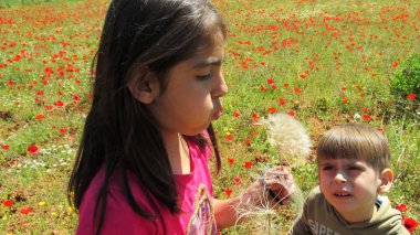 Bir kız karahindibaya üfledi.