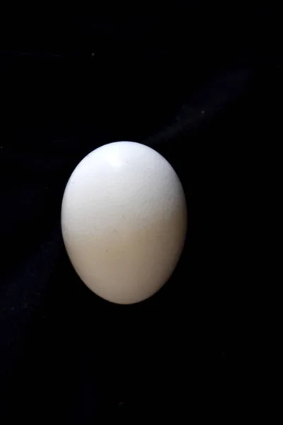 Egg Isolated Black Background — Stock Photo, Image