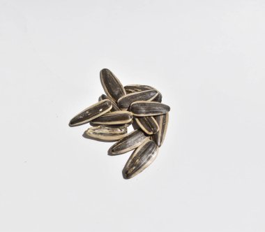 Kabukta ay çekirdeği beyaz üst görünümde izole