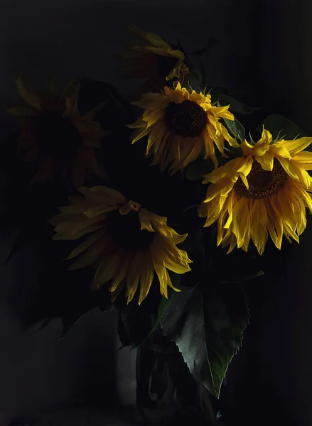 Still Life Bouquet Yellow Sunflowers Low Key Front View Dark — Stock Photo, Image