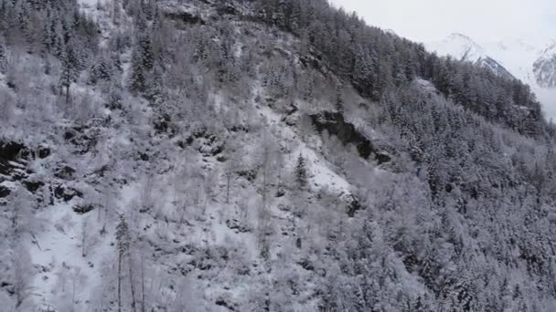 Drohnen Luftaufnahmen Von Verschneiten Bergen Und Bäumen Archivvideo — Stockvideo