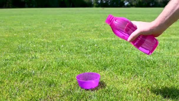人们把紫色水瓶里的水倒入一只狗的紫色水碗里 一只小狗躺在远处的草地上 这是一个阳光明媚的夏日 Brian Holm Nielsen拍摄的股票镜头慢镜头 — 图库视频影像