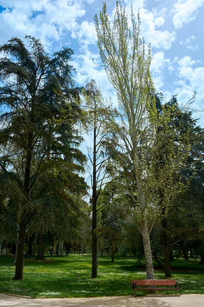 Calm Spot Trees Plants Park Good Retirement Parque Del Buen — Stock fotografie