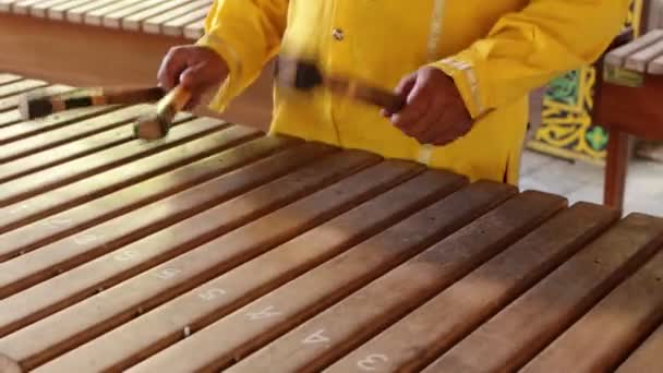 Asian Indonesian Balinese musician gamelan instrument (em inglês). Mãos fechadas a jogar. Não editado, arquivo bruto . — Vídeo de Stock