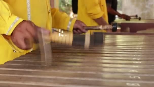 Asya Endonezya Bali müzisyen gamelan alet. Oynayan eller. Değil düzenlenmiş, raw dosya. — Stok video