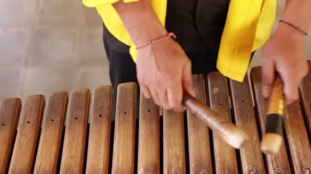 Asian Indonesian Balinese musician gamelan instrument (em inglês). Mãos fechadas a jogar. Não editado, arquivo bruto . — Vídeo de Stock