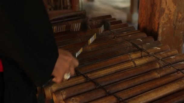 Ασιατική Ινδονησιακή Μπαλινέζικο μουσικό όργανο gamelan. Κινηματογράφηση σε πρώτο πλάνο τα χέρια παίζοντας. Δεν επεξεργασία, raw αρχείο. — Αρχείο Βίντεο