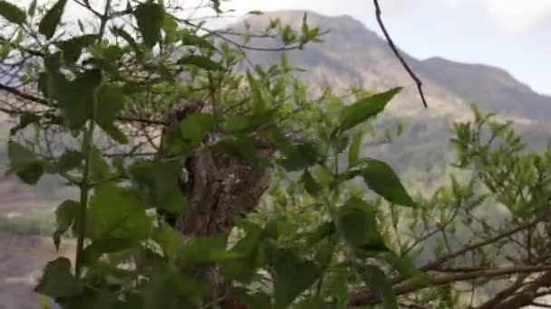 Vulkan batur auf einer tropischen insel bali, indonesien. — Stockvideo